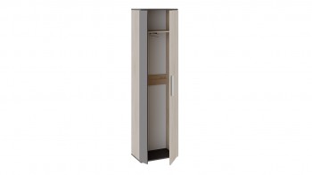 Шкаф для одежды «Нуар» тип 1 Фон серый/Дуб сонома в Уяре - uyar.mebel54.com | фото