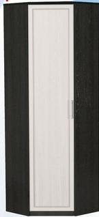 Шкаф для одежды угловой ДЛЯ ГОСТИНОЙ ШОУ-695 Венге/Дуб выбеленный в Уяре - uyar.mebel54.com | фото